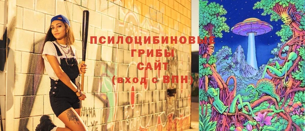 ПСИЛОЦИБИНОВЫЕ ГРИБЫ Белокуриха