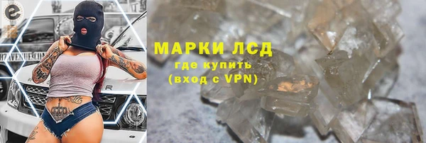 индика Беломорск