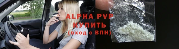 индика Беломорск