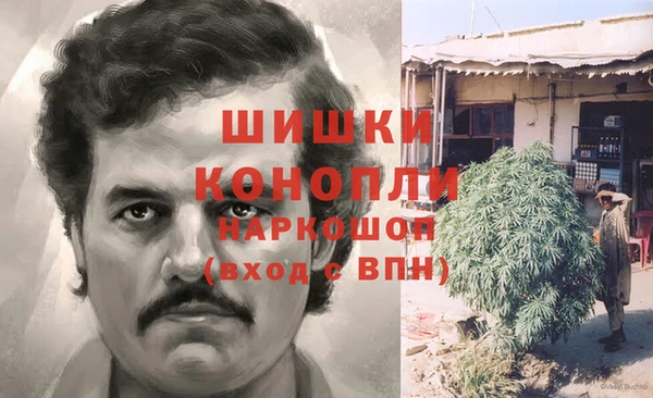 ПСИЛОЦИБИНОВЫЕ ГРИБЫ Белокуриха