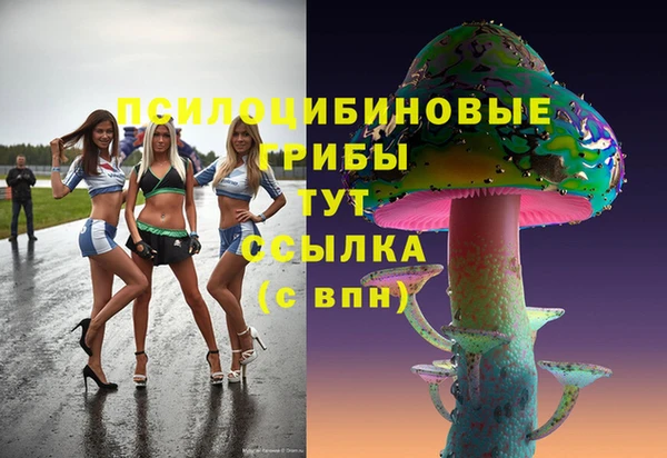 ПСИЛОЦИБИНОВЫЕ ГРИБЫ Белокуриха