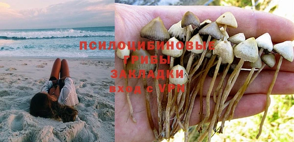 индика Беломорск