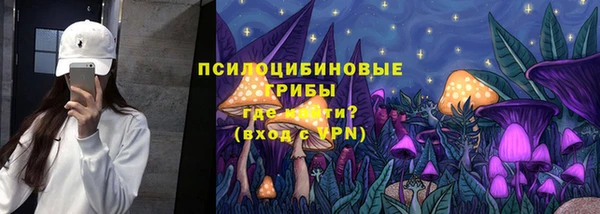 индика Беломорск